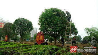 怀化金海广场全面提质改造 市民注意绕道行走